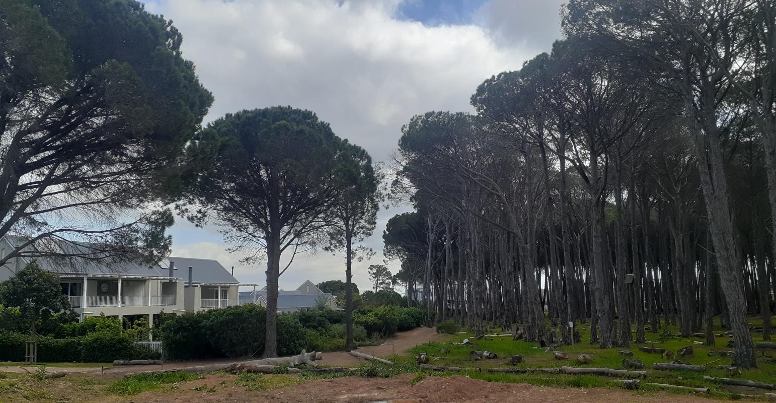 3 Bedroom House for sale in Somerset Lakes P24113670233