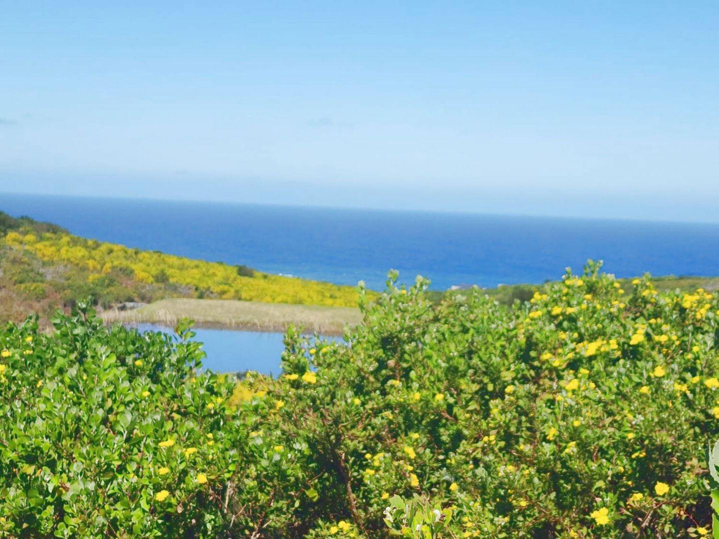 Pezula Private Estate Property Property and houses for sale in Pezula