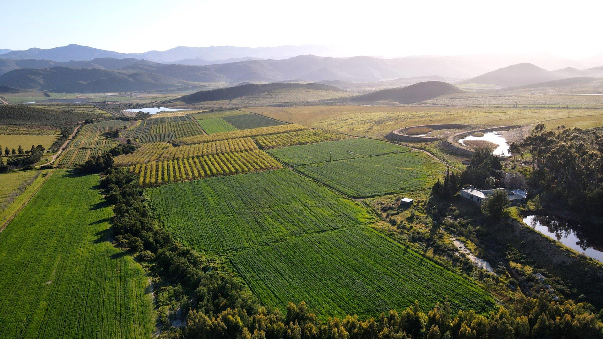 Montagu Rural Property Property and houses for sale in Montagu Rural