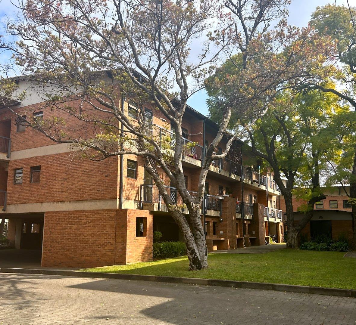 Hatfield Property Apartments / flats to rent in Hatfield Property24