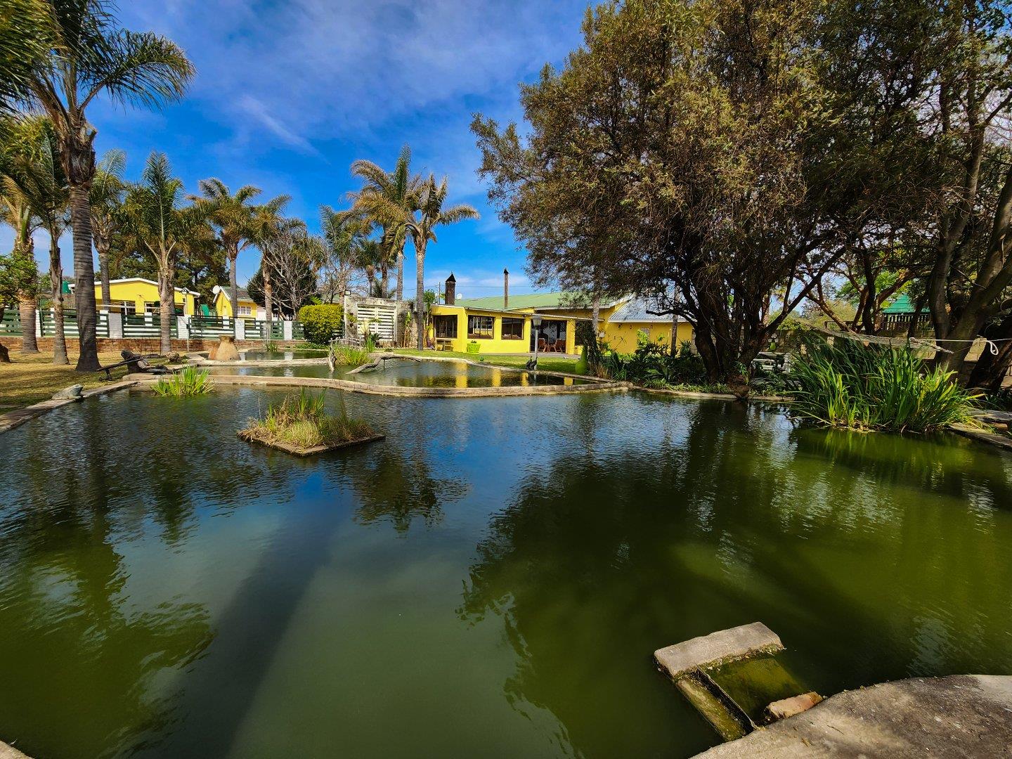 Farm for sale in Eland Small 36 Merwe Road P24113309421