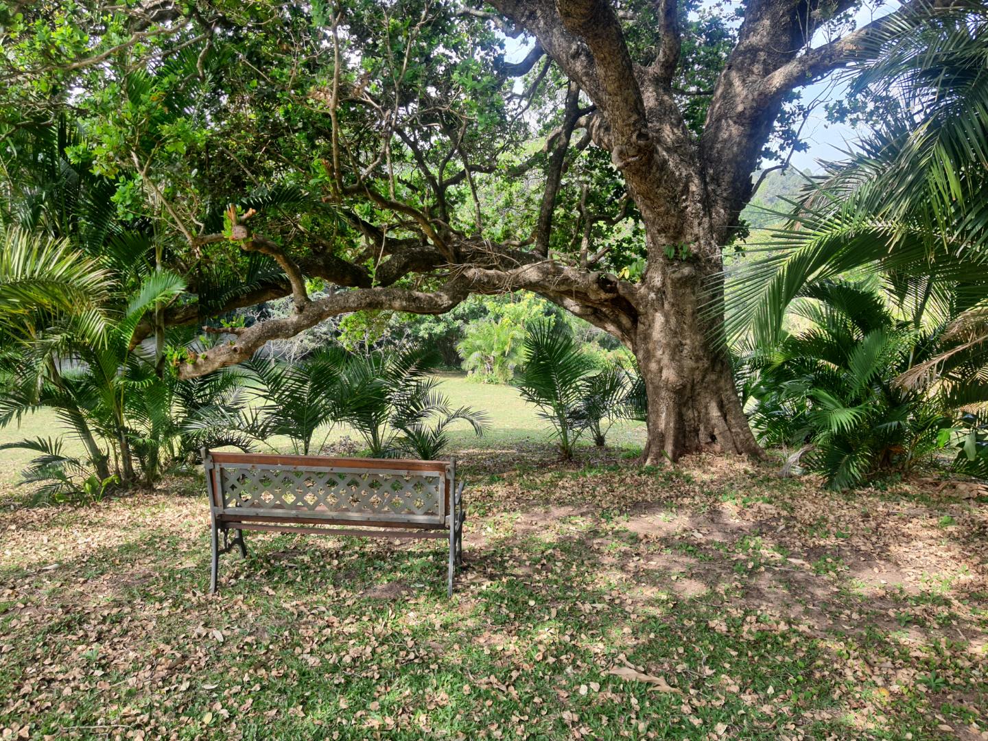 Vacant land / plot for sale in Three Hills 1304 Main Road P24113310189