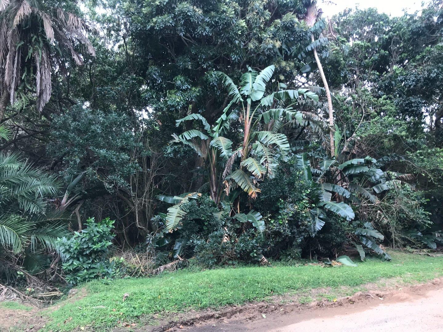 Property and houses for sale in Trafalgar Trafalgar Property