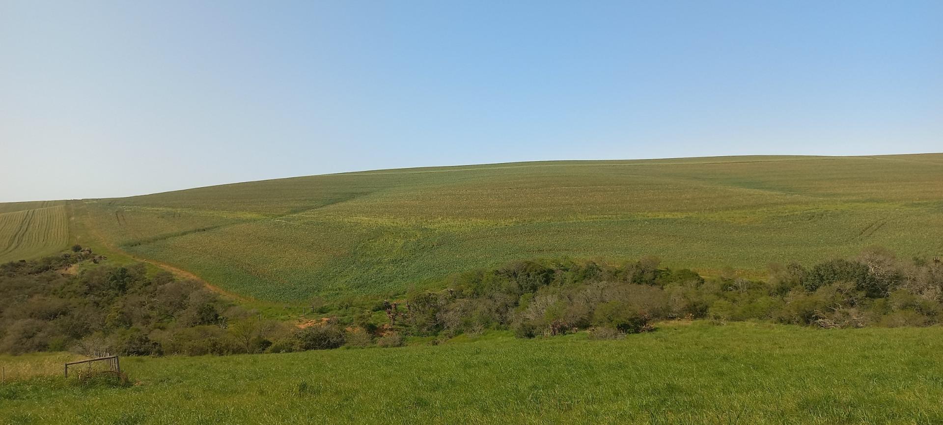 Farm for sale in Riversdale Rural 231 Riversdale Sett P24113369611