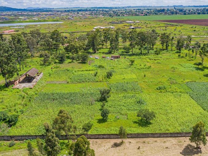 Vacant Land / Plot for Sale in Mount Hampden