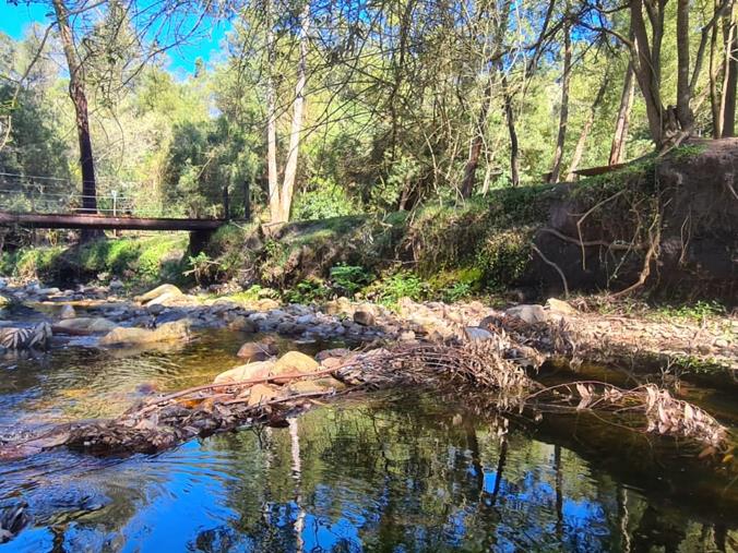 Farm for Sale in Friemersheim