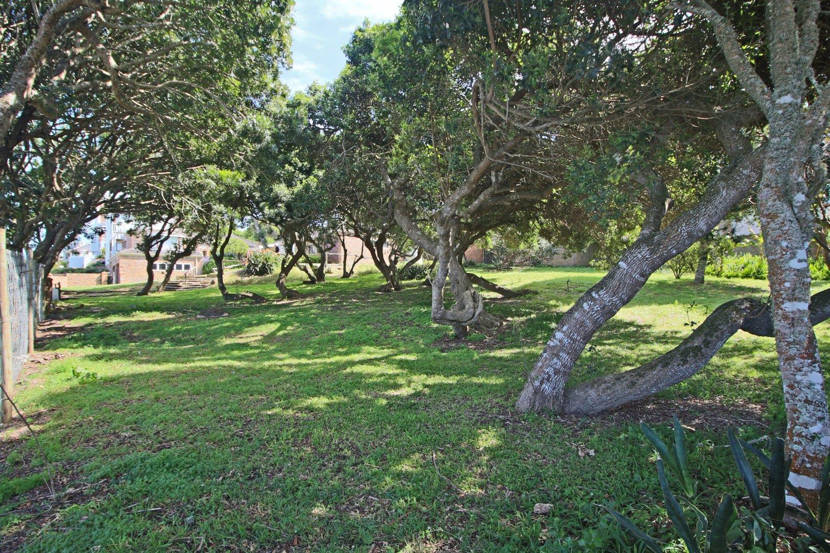 Vacant land / plots for sale in Kenton On Sea Kenton On Sea Property Page 2