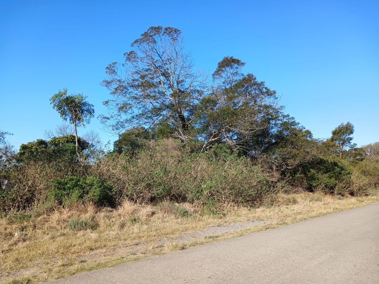 Vacant land / plot for sale in East London Central P24113340247