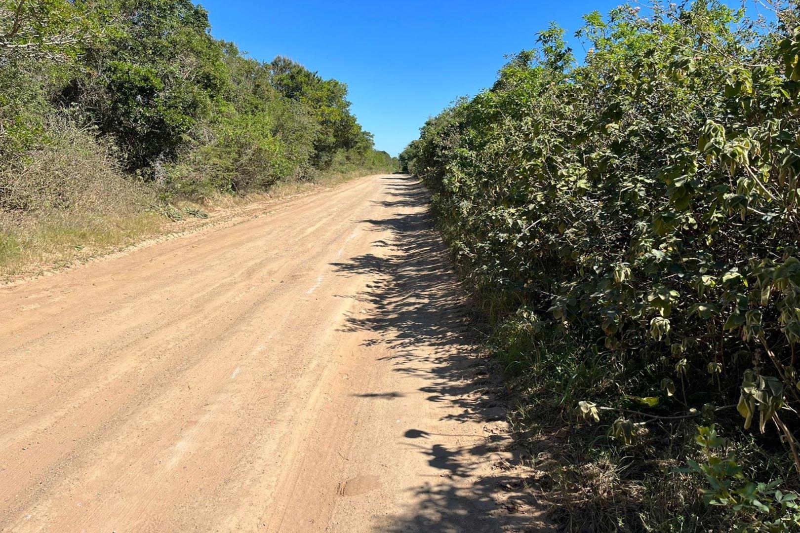 Property and houses for sale in Bathurst Bathurst Property