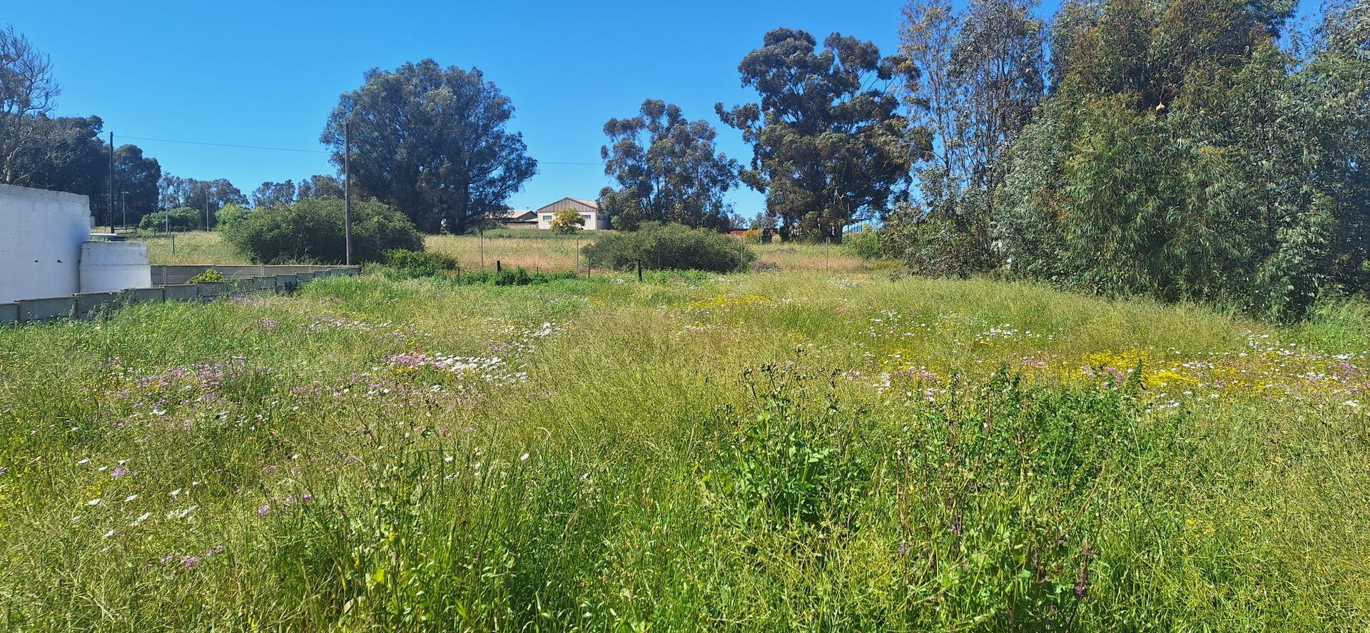 Vacant land / plot for sale in Hopefield 6 Reservoir Street P24