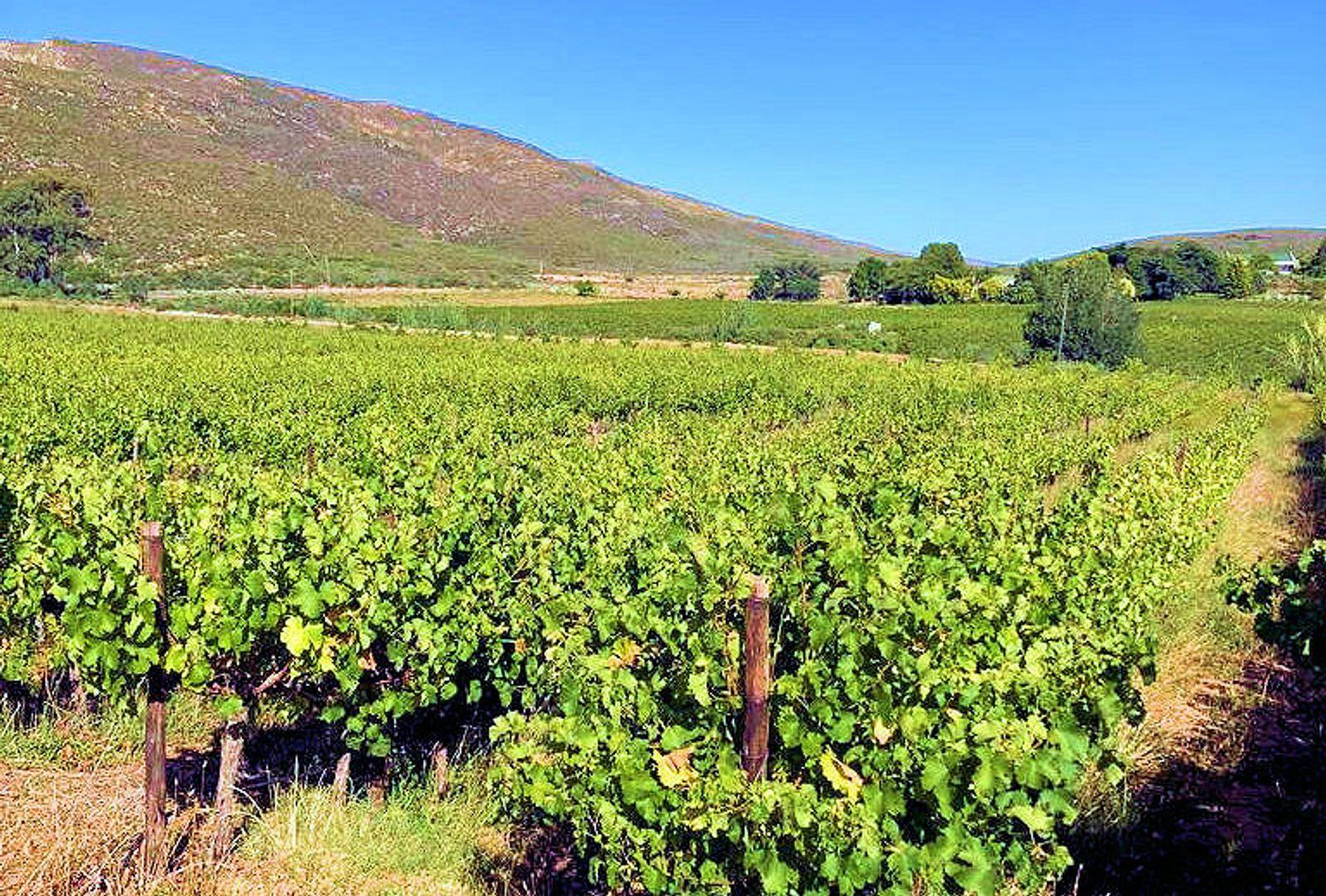 Farm for sale in Robertson Rural P24113354173