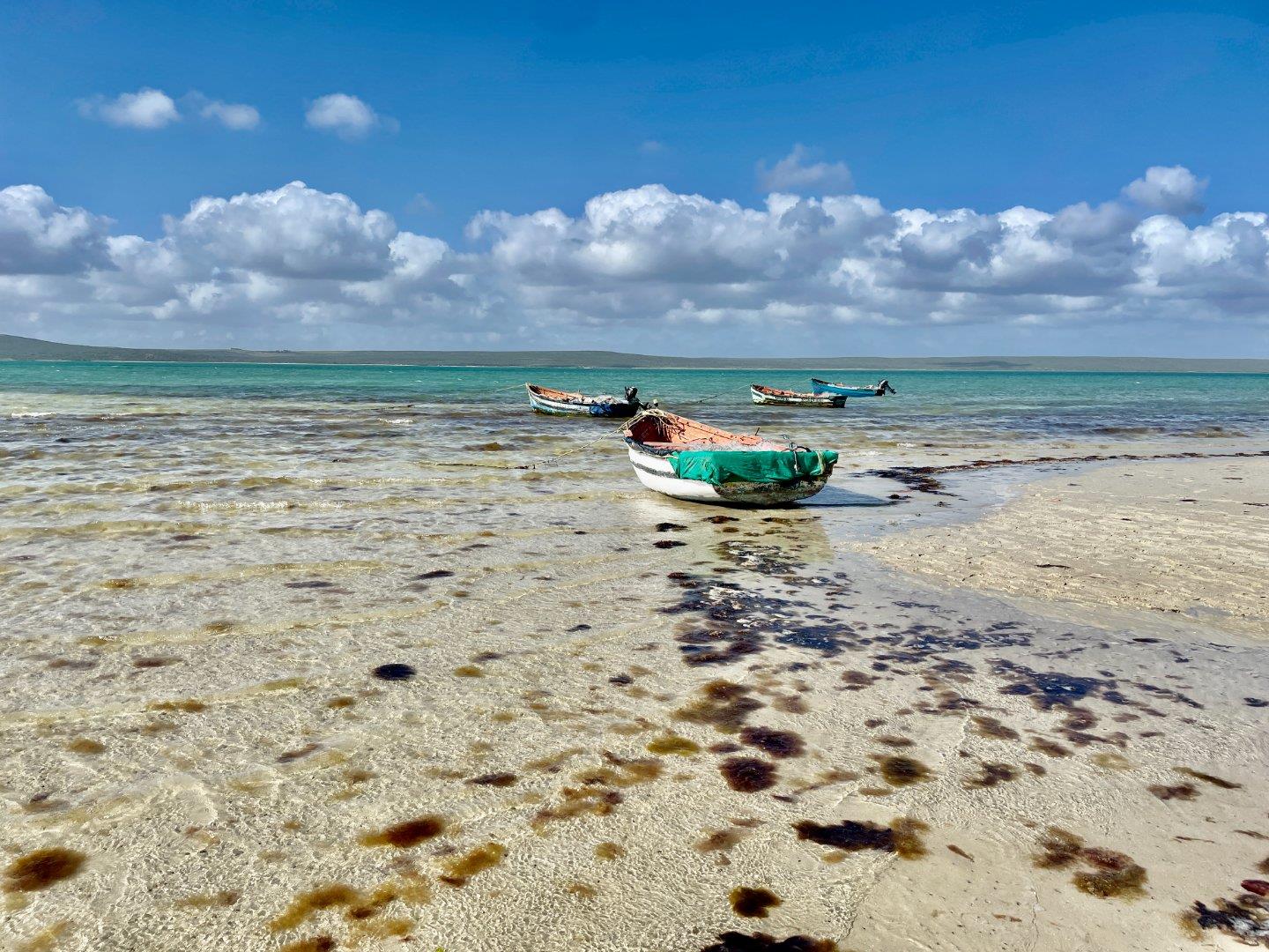 Church Haven Property Property and houses for sale in Church Haven