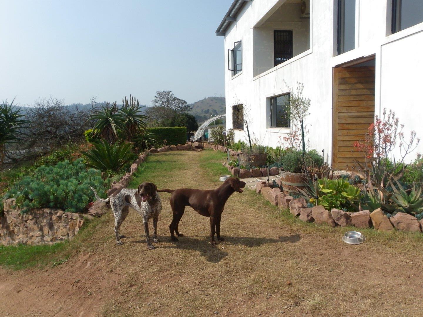 Farm for sale in Camperdown Rural P24113364307