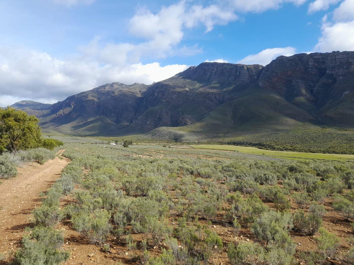 Farm for sale in Robertson Rural P24113370360