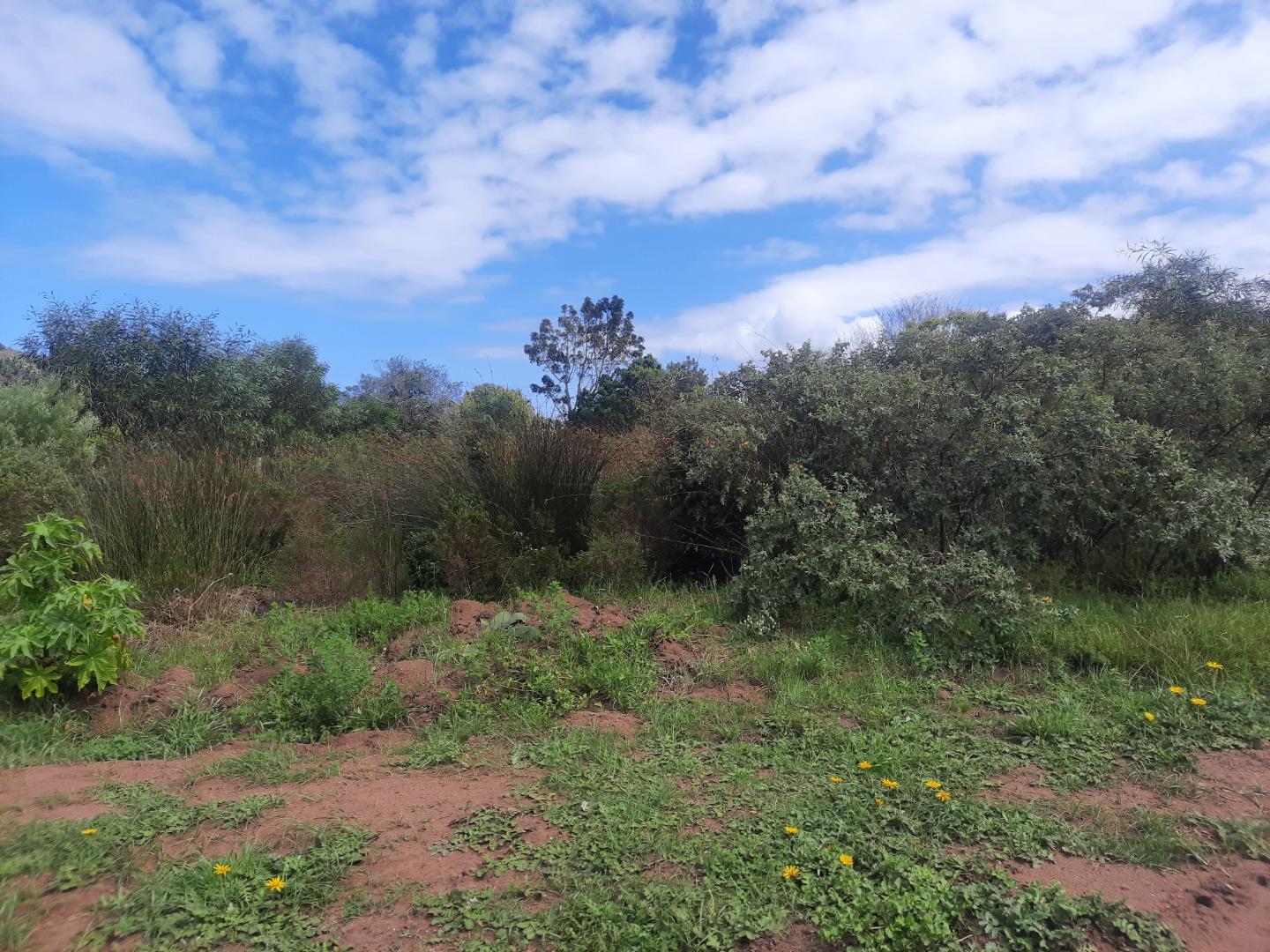 Vacant land / plots for sale in Sedgefield Sedgefield Property
