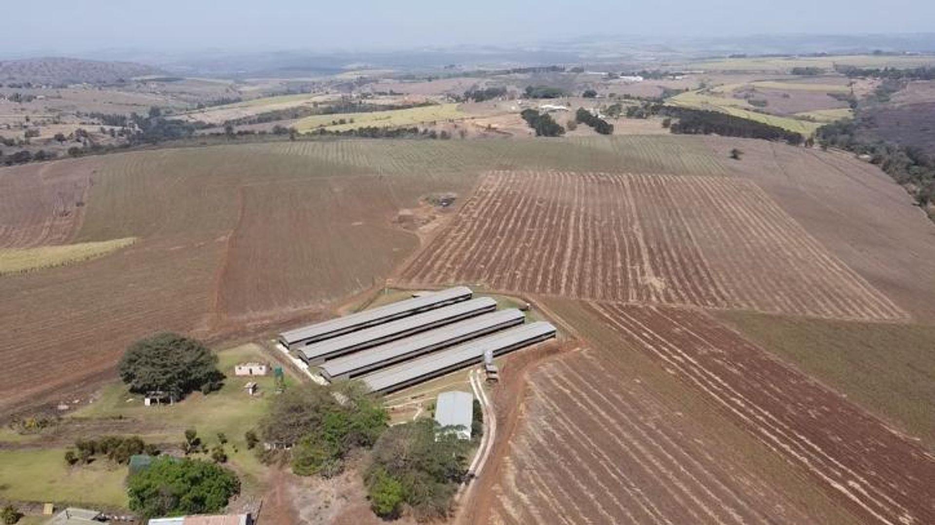 Commercial property for sale in Camperdown D113 Camperdown P24