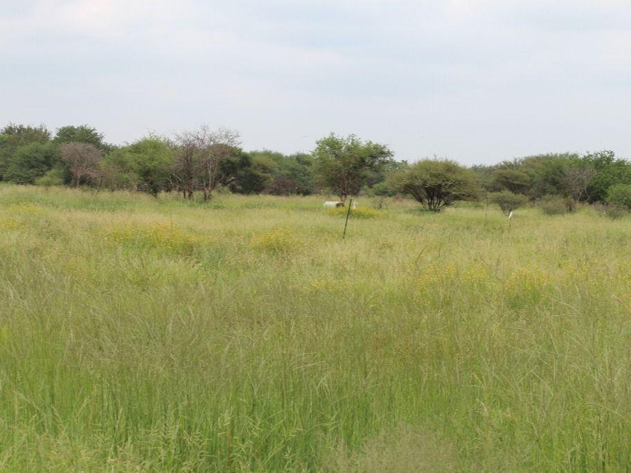 Vacant land / plot for sale in Northam P24113385112