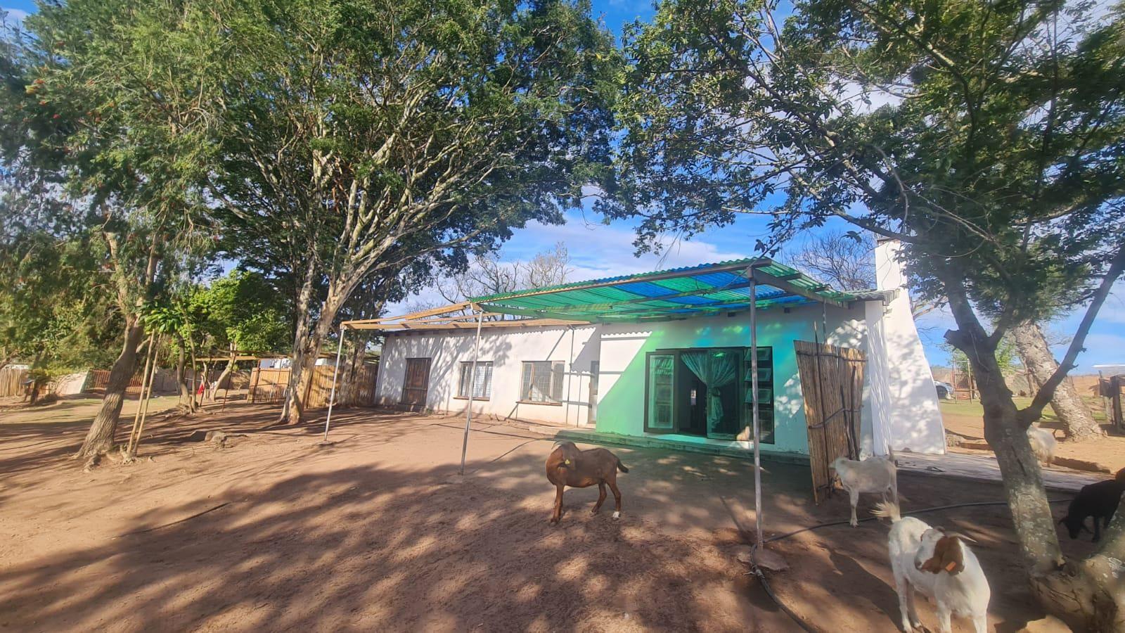 Farm for sale in Cato Ridge P24113391199