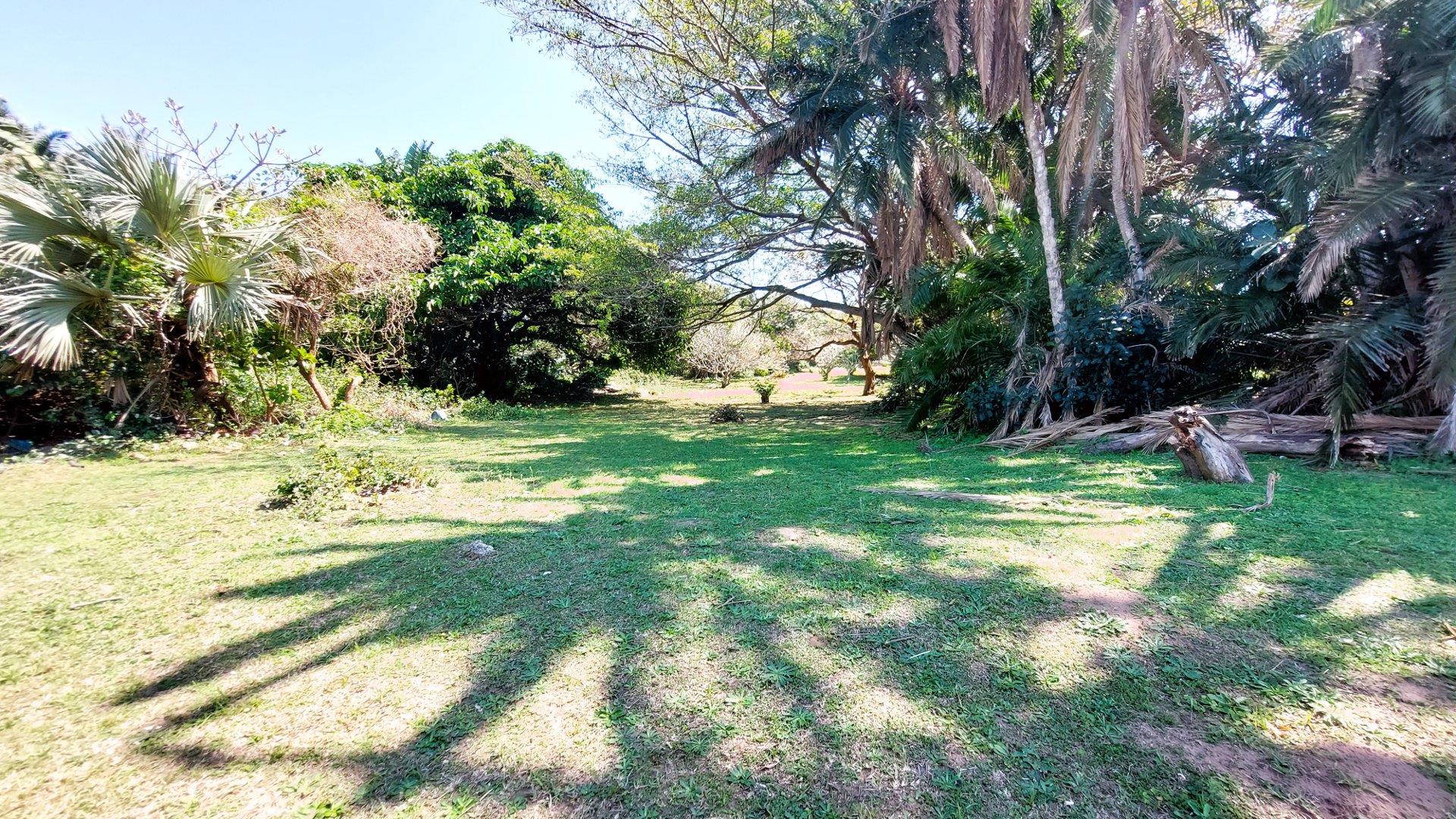 Commercial property for sale in Shelly Beach 981 Main Road P24