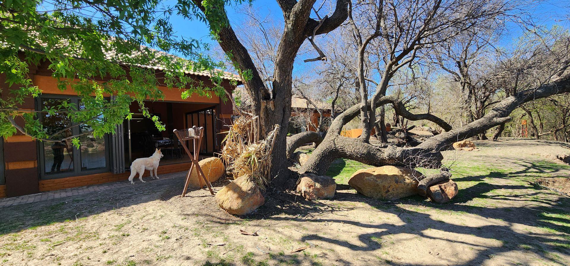 Property and houses for sale in Viljoenskroon Viljoenskroon Property