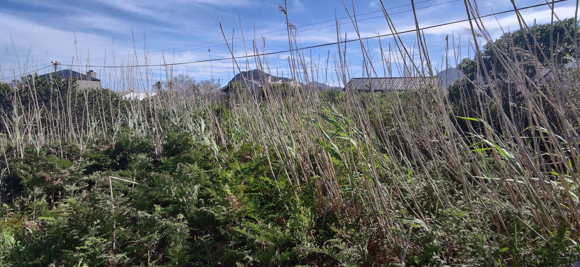 Property and houses for sale in Pringle Bay Pringle Bay Property