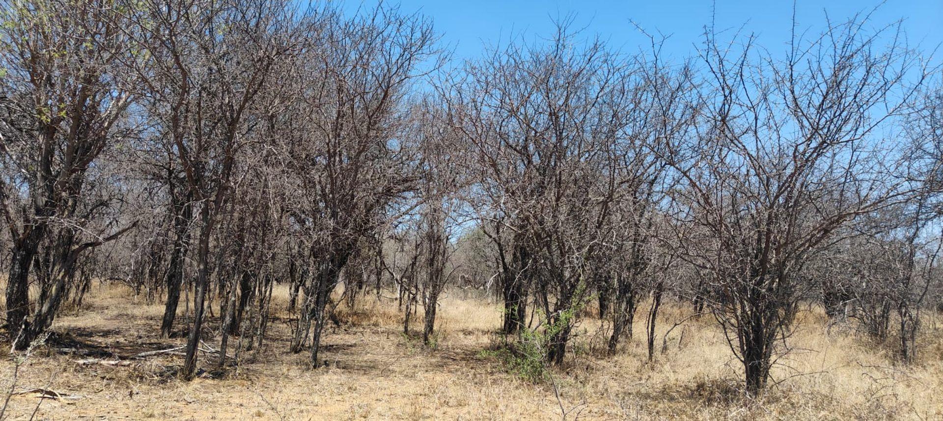 Vacant land / plot for sale in Shona Langa P24113404681