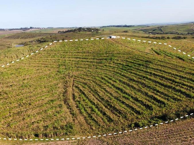 Farm for Sale in Fairview Estates