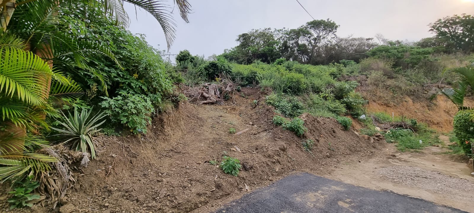 Vacant land / plot for sale in Sydenham 5 Clova Road P24113418654