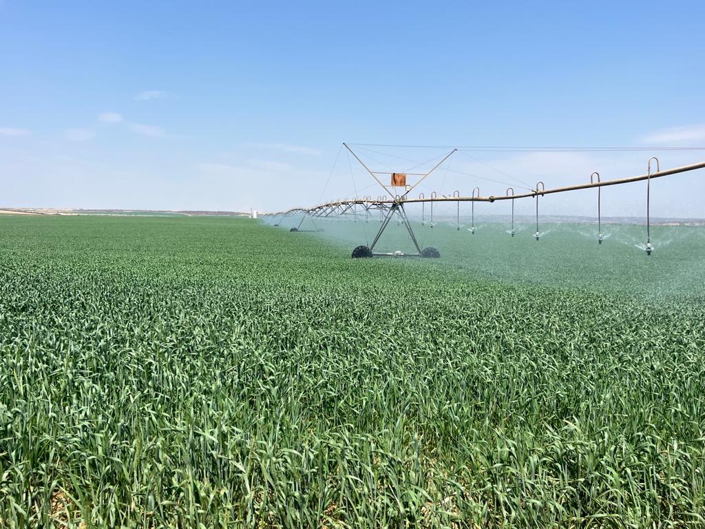 Farm for sale in Douglas P24113438710