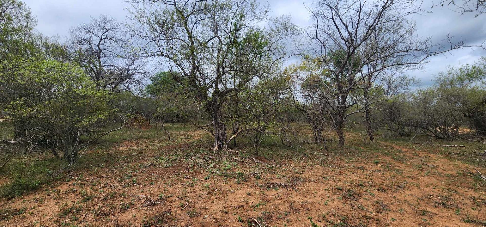 Vacant land / plots for sale in Marloth Park Marloth Park Property