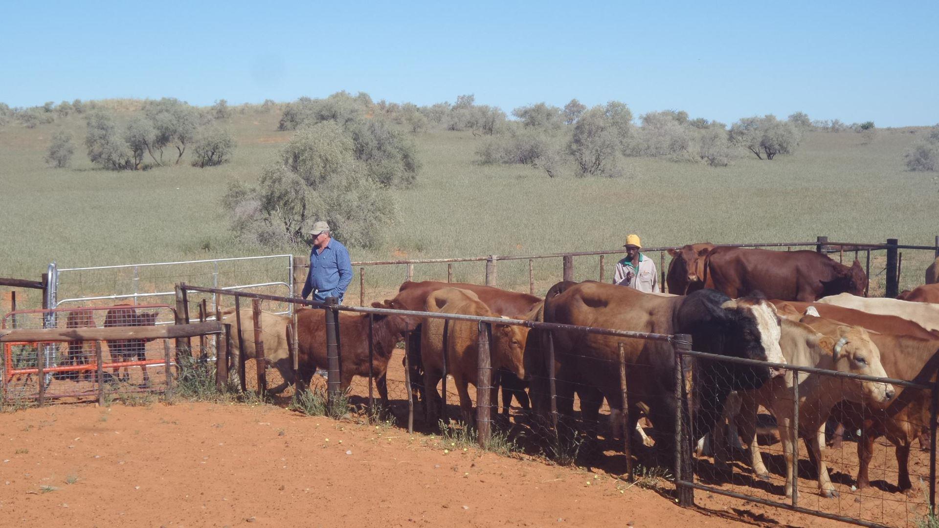 Farm for sale in Van Zylsrus P24109834429