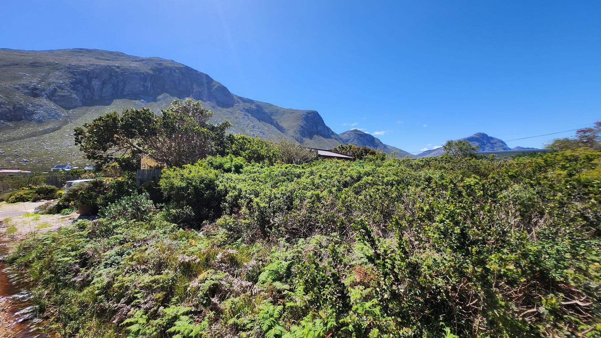 Property and houses for sale in Bettys Bay Bettys Bay Property