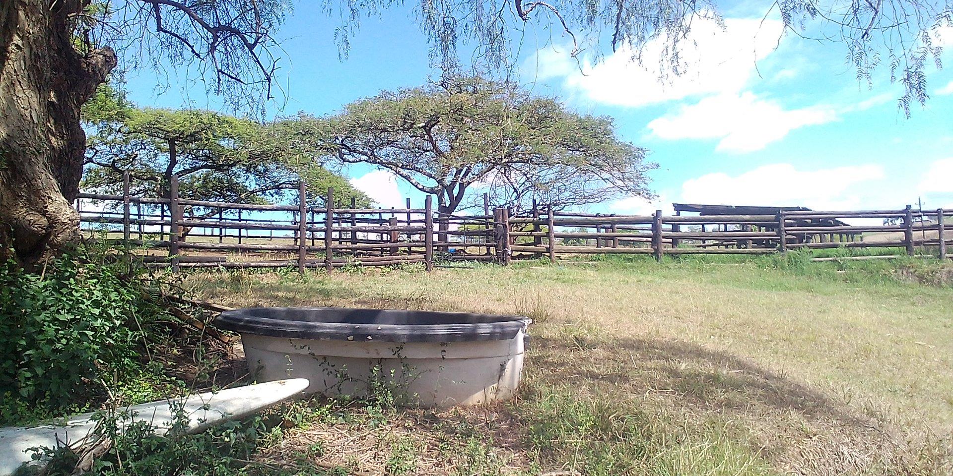 Midlands Property Farm for sale in Midlands Page 7