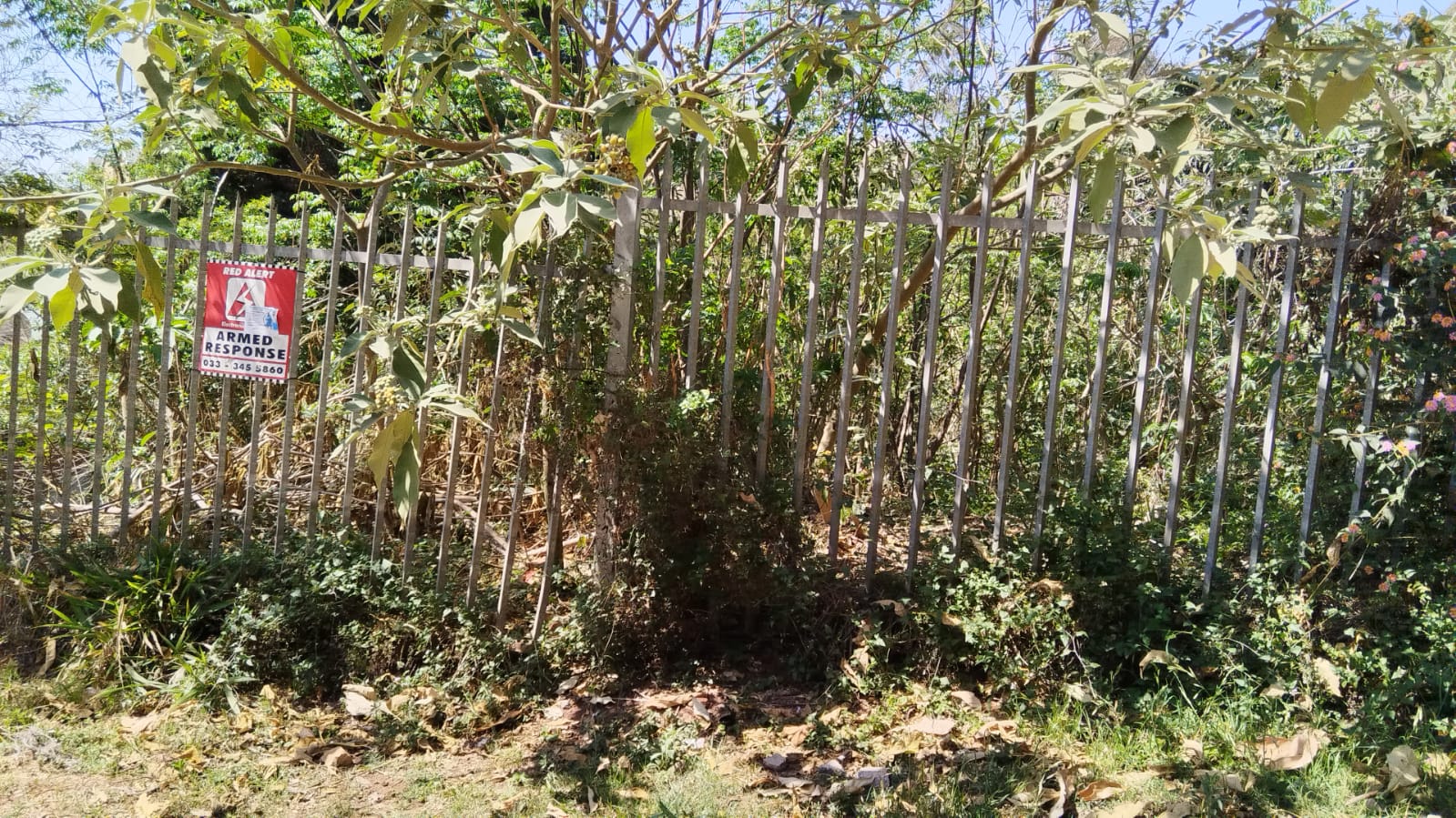 Vacant land / plots for sale in Pietermaritzburg Pietermaritzburg