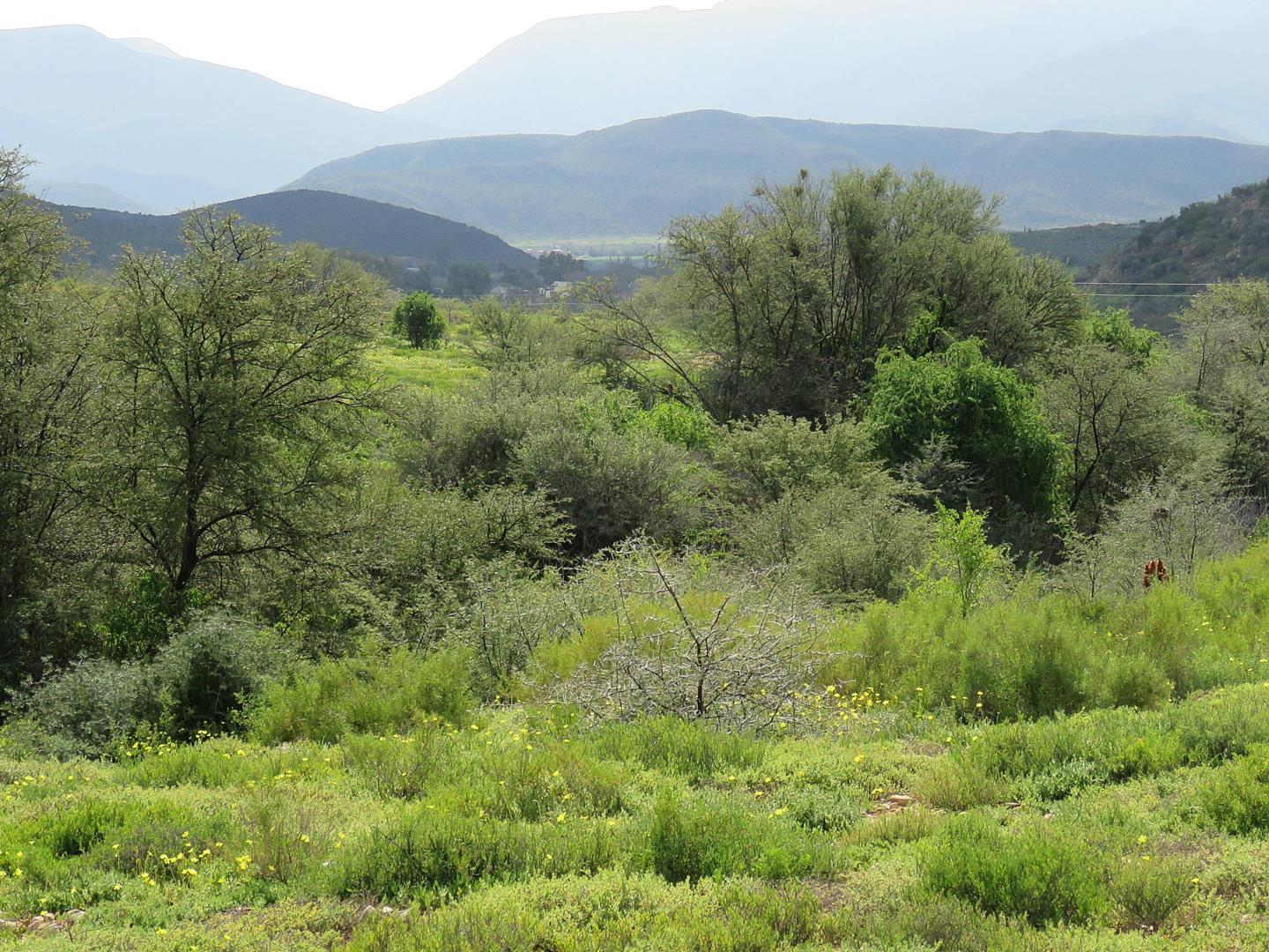 Klein Karoo Property Farm for sale in Klein Karoo Page 5