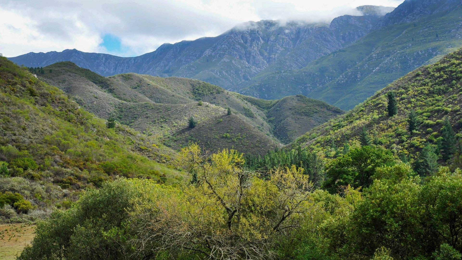 Farm for sale in Robertson Rural P24113497601