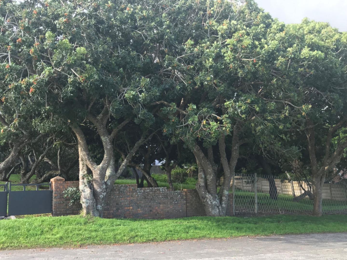 Vacant land / plot for sale in Kenton On Sea 24 (1818) Somerset Road P24113499880