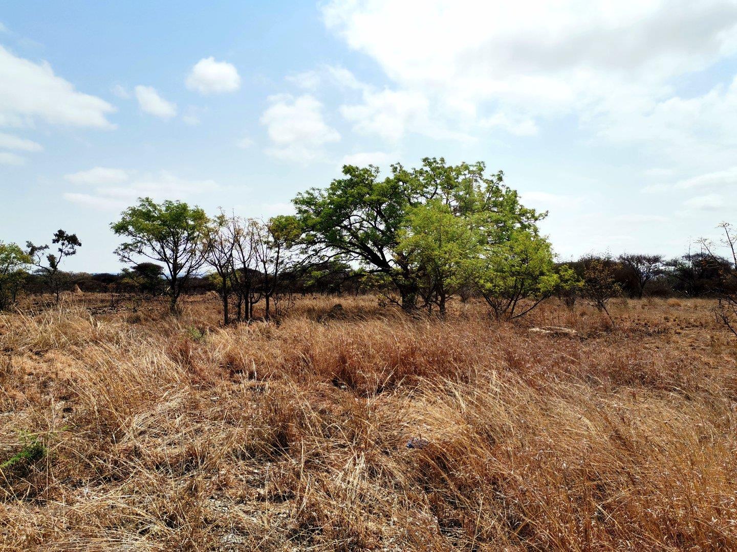 Vacant land / plots for sale in Polokwane Polokwane Property