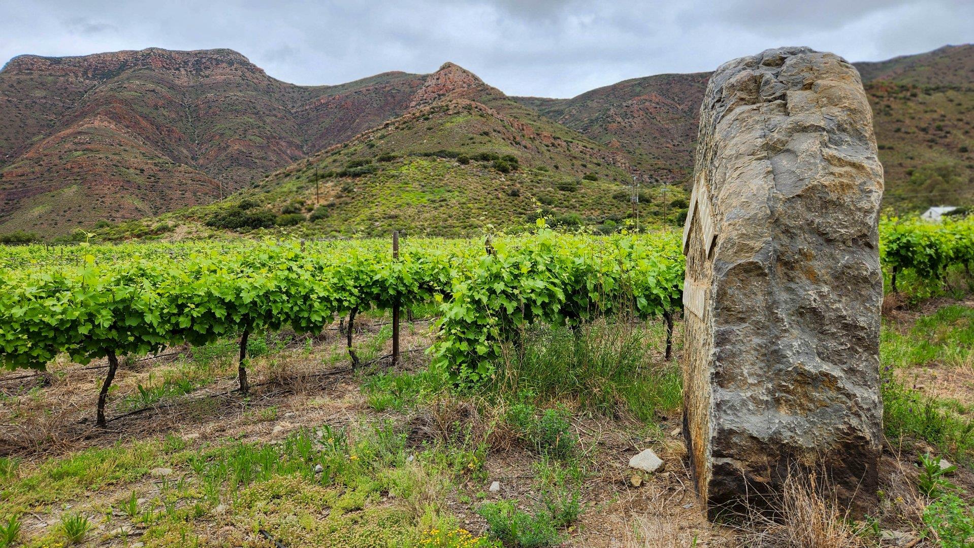 Farm for sale in Montagu Rural P24113515654