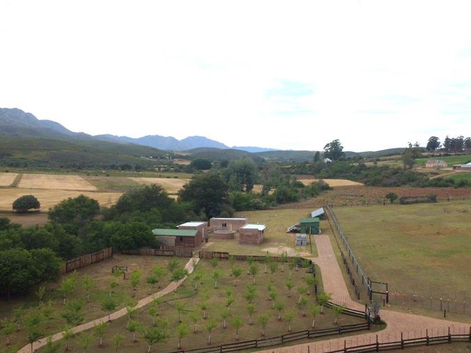 Farm for Sale in Oudtshoorn Rural