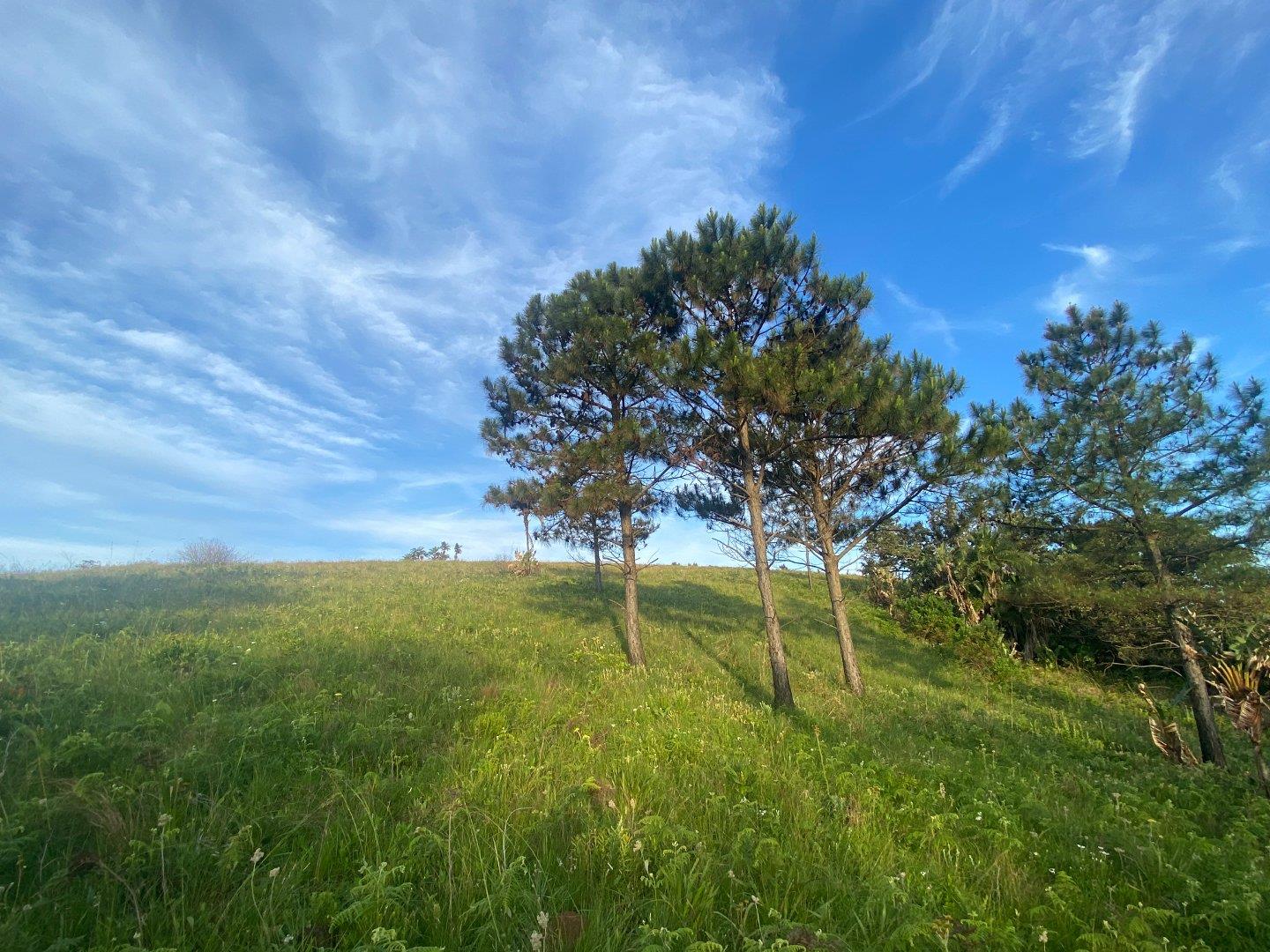 Vacant land / plot for sale in Port Edward P24113528287