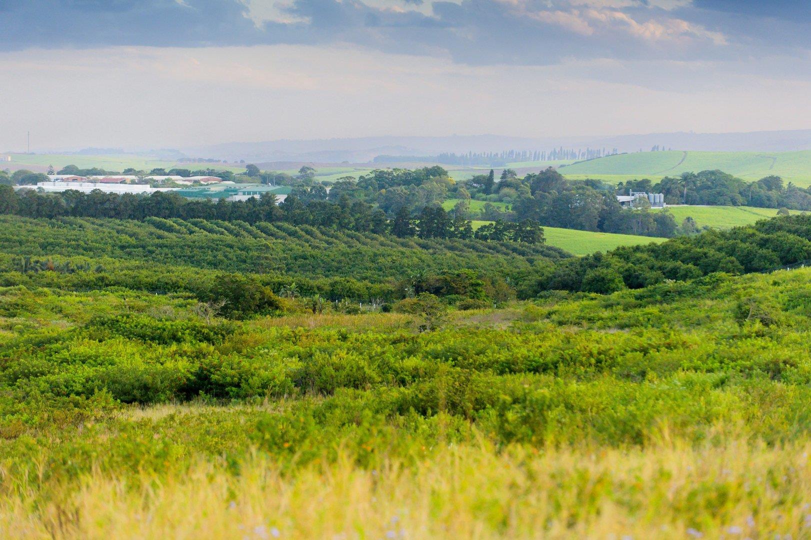 Vacant land / plot for sale in Sheffield Beach P24113528827