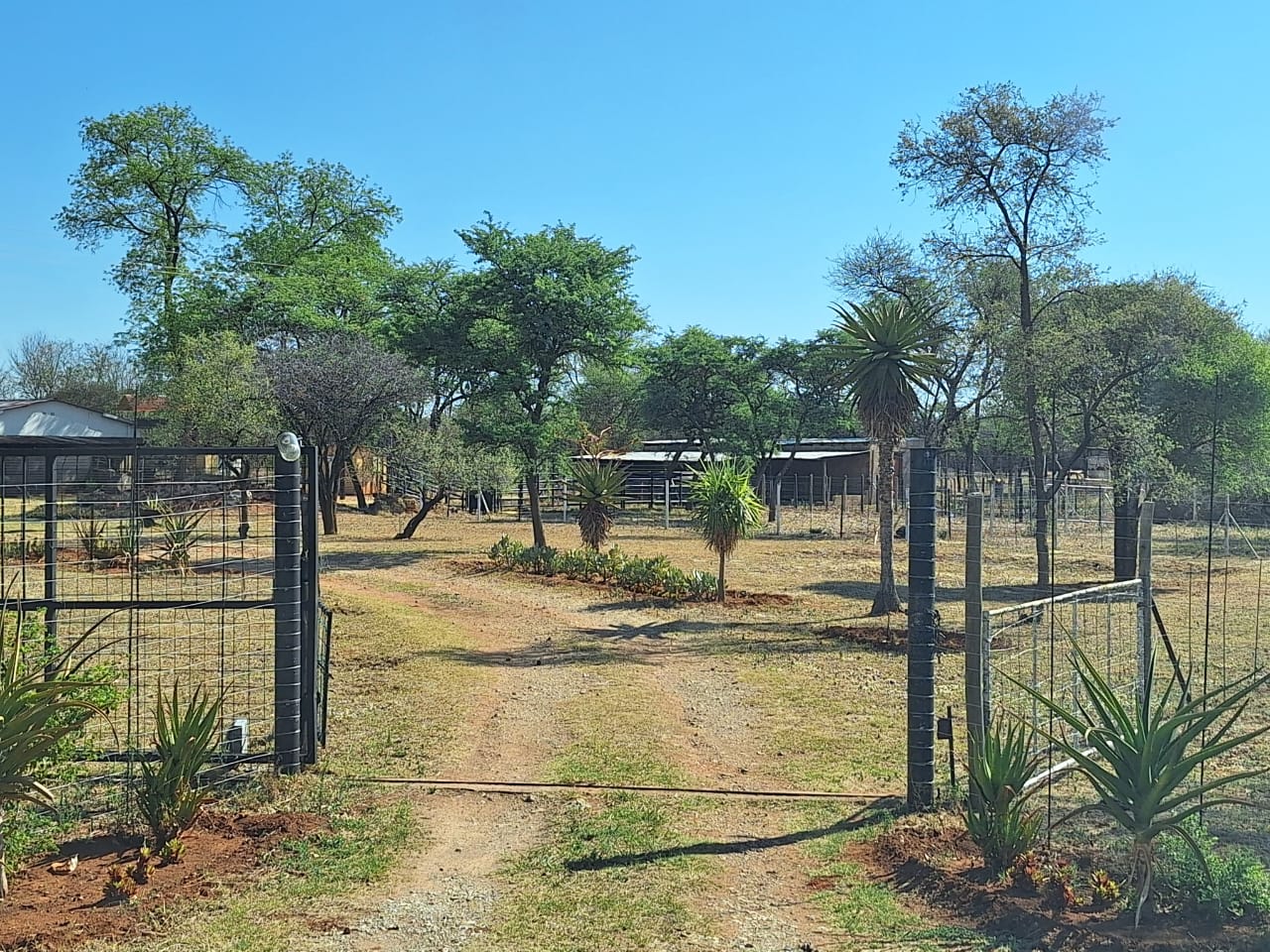 Farm for sale in Marble Hall P24113531974