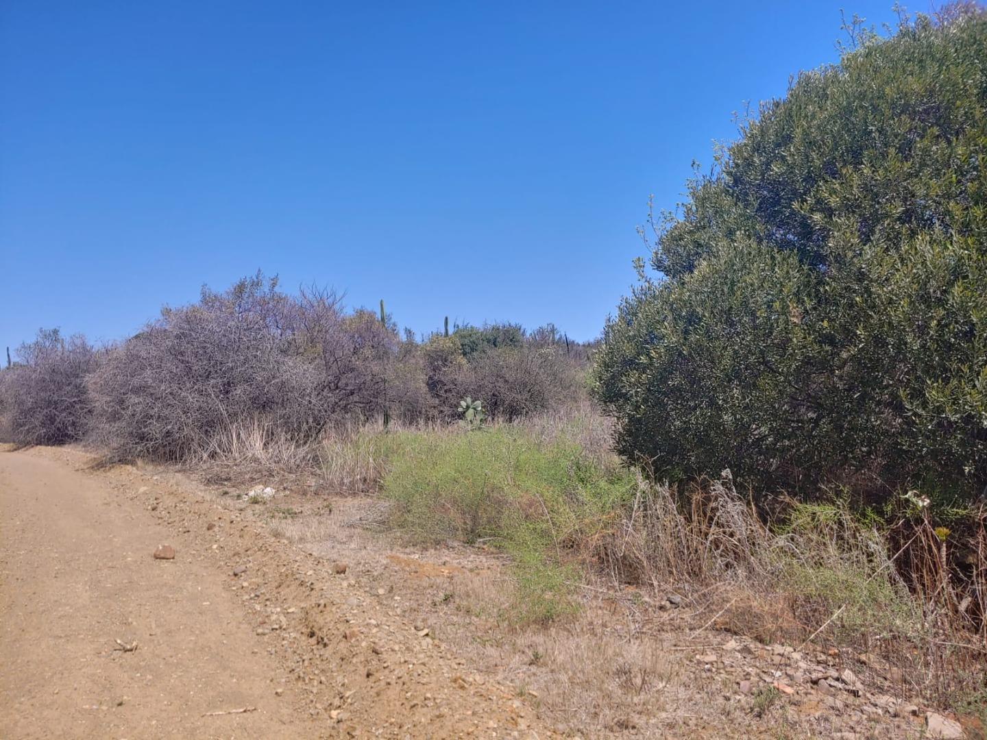 Vaal River Property Vacant land / plot for sale in Vaal River Page 2