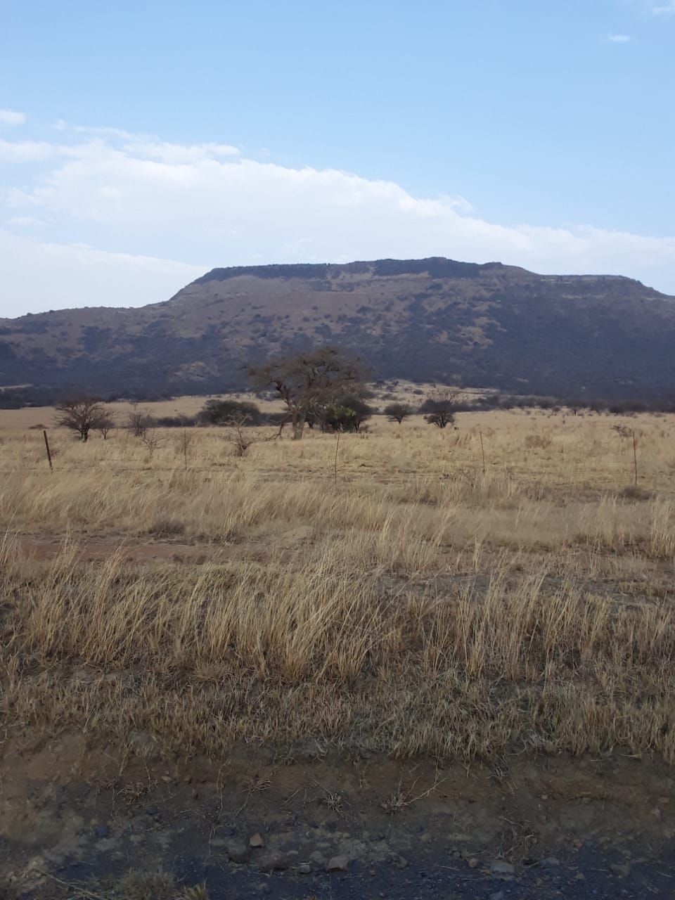 Dundee Rural Property Property and houses for sale in Dundee Rural