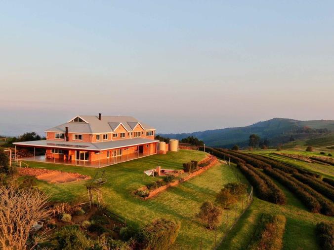 Farm for Sale in Mount Verde