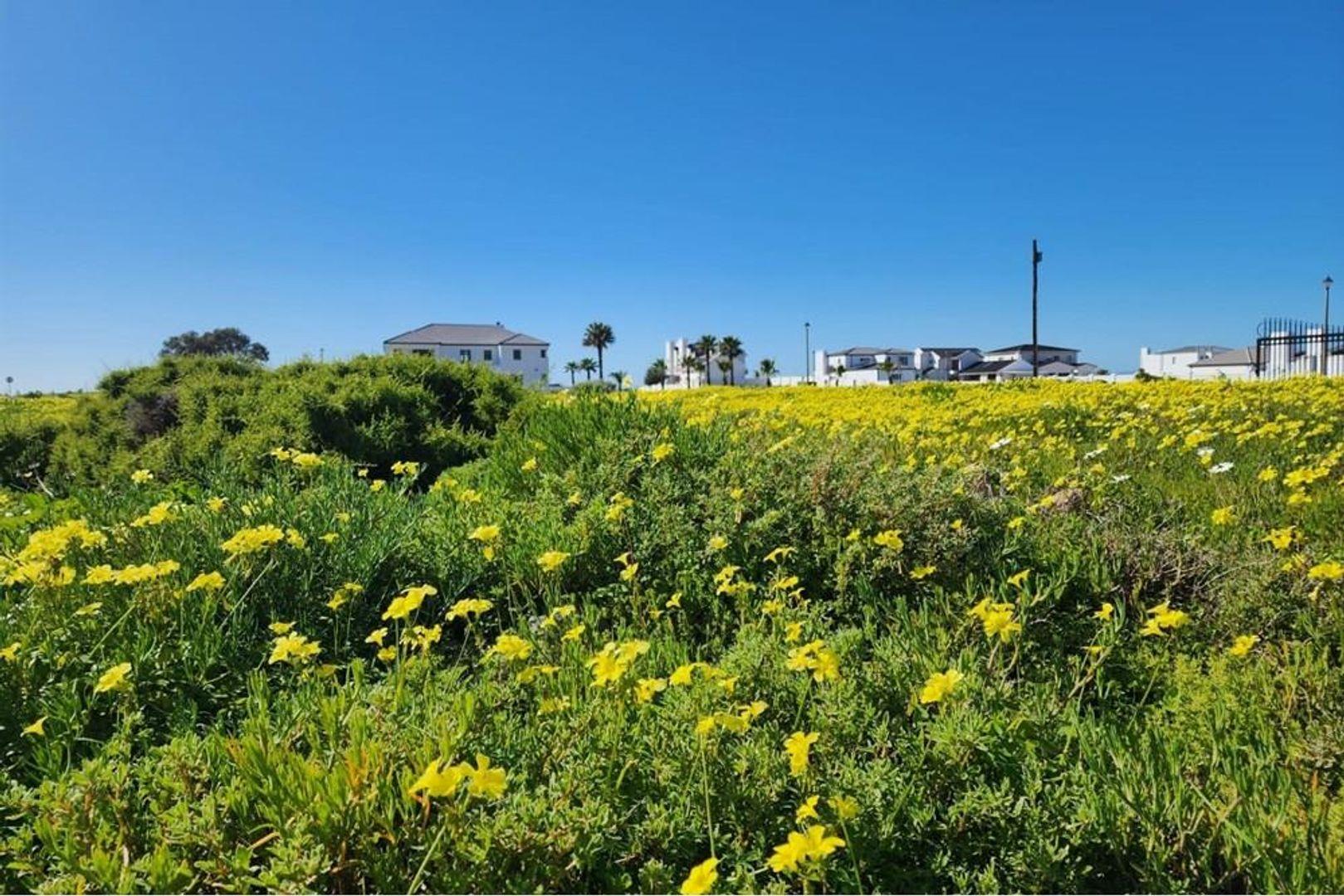 Vacant land / plot for sale in Sandy Point Beach Estate 54 Diademma