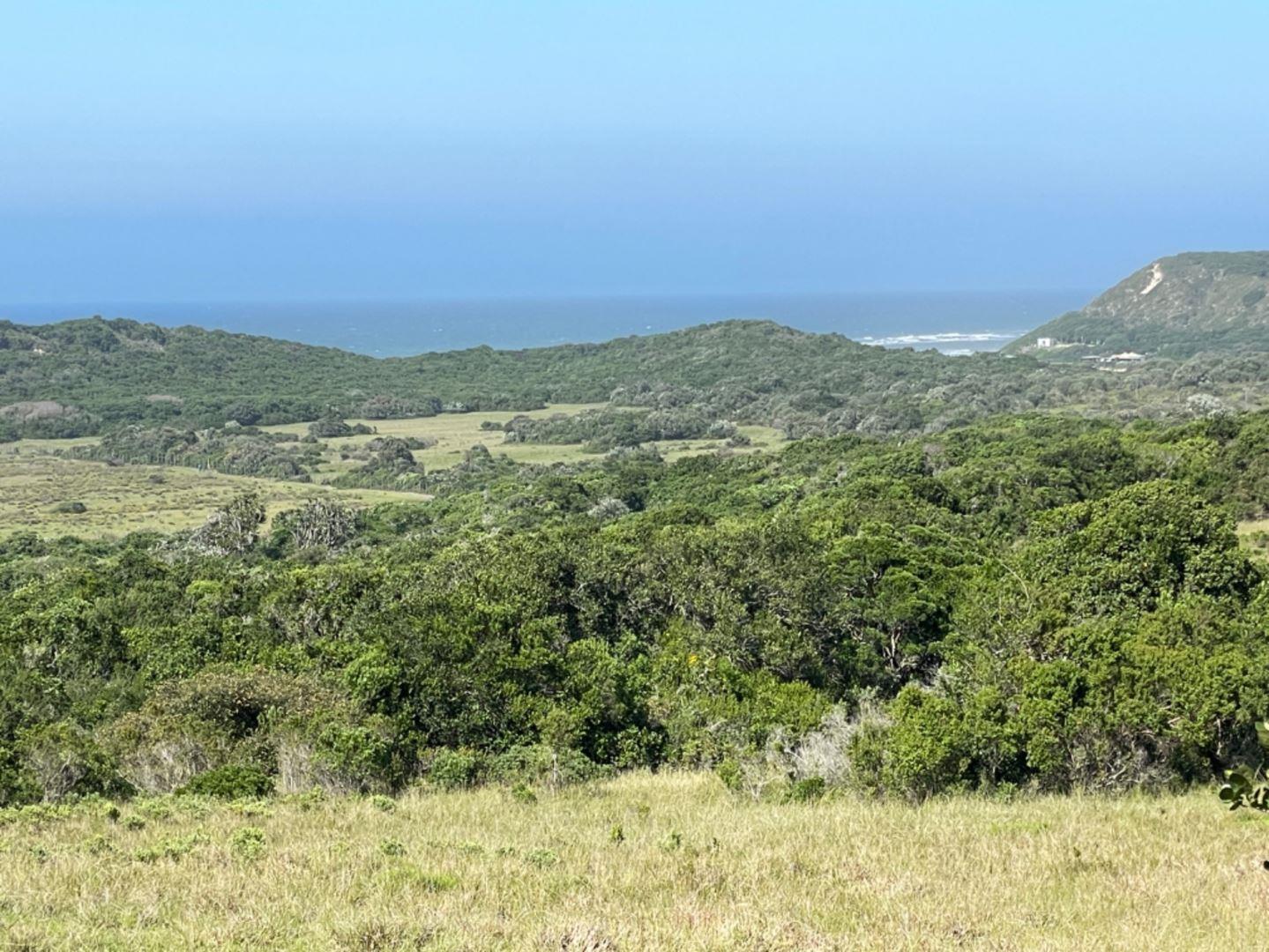 Vacant land / plot for sale in Kenton On Sea Eco Estate P24113549353