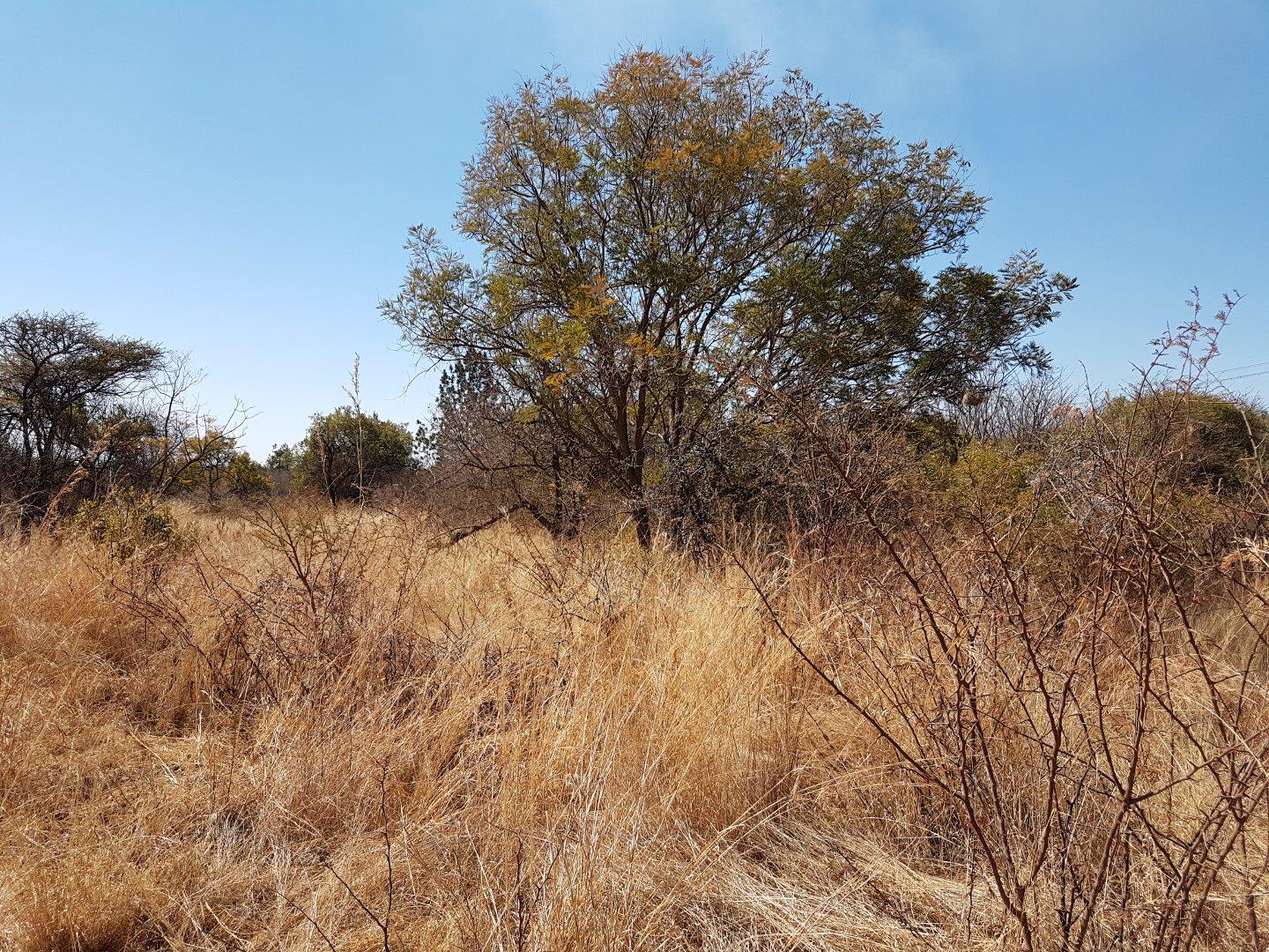 Farm for sale in Kameelfontein P24113554162