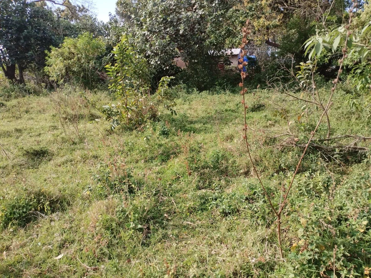 Vacant land / plots for sale in Richards Bay Richards Bay Property
